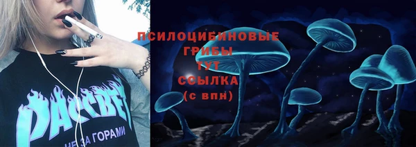 a pvp Новозыбков